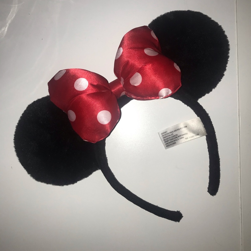Mickey Mouse Ears from Disney World